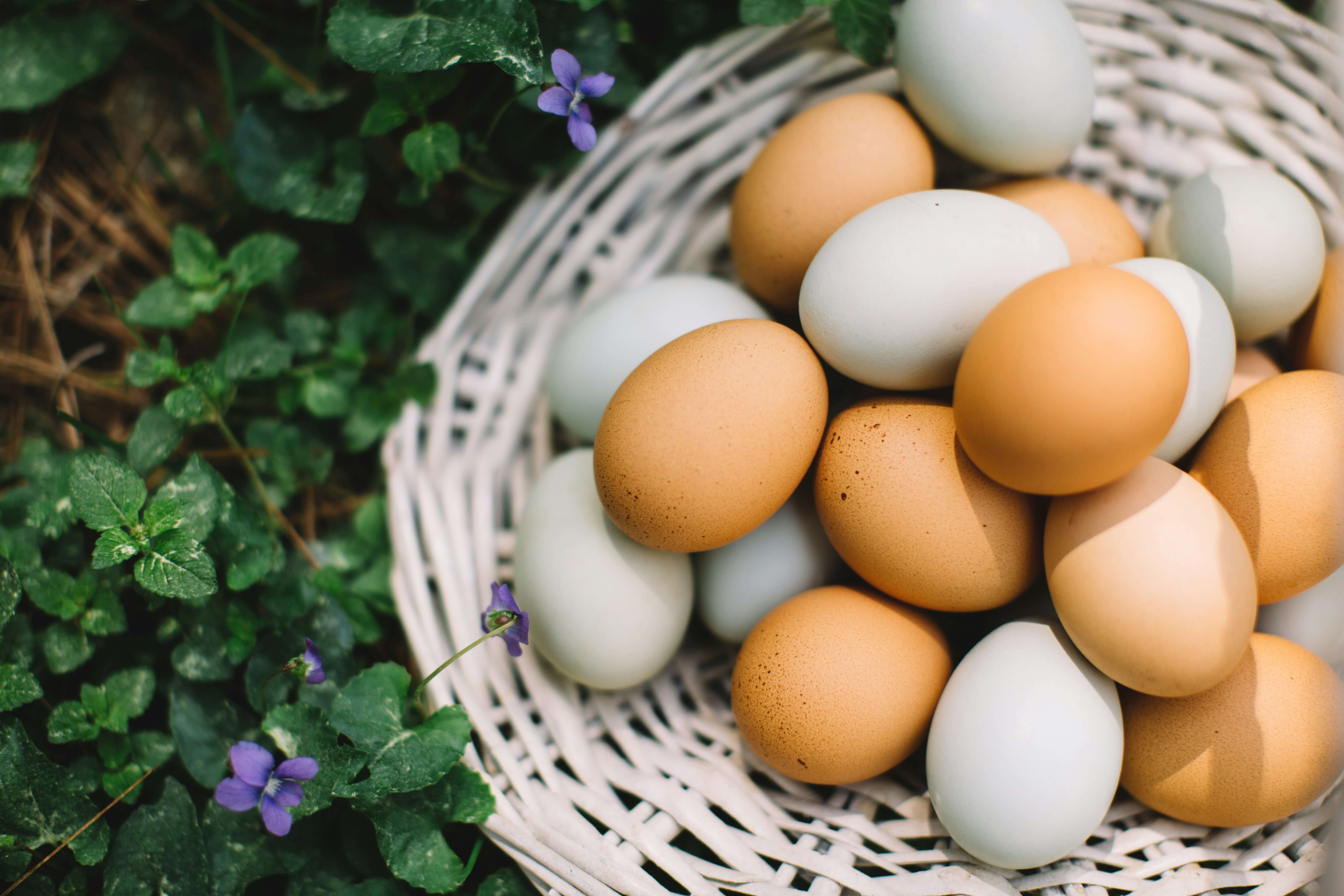 Various baked goods made with egg substitutes